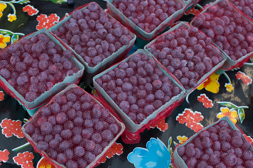 blueberries-market-nancymoon-6707