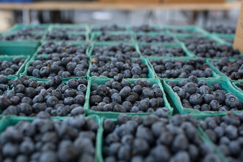 blueberry-market-nancymoon-6717