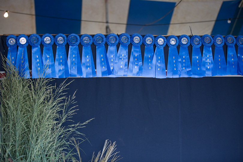 blue ribbons at the classic
